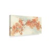 Trademark Fine Art Chris Paschke 'Peach Blossom Ii' Canvas Art, 16x32 WAP05619-C1632GG